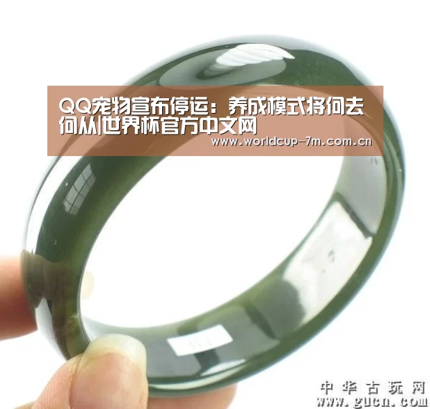 QQ宠物宣布停运:养成模式将何去何从|世界杯官方中文网(图3) 世界杯附加赛