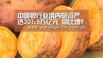 世界杯官方中文网