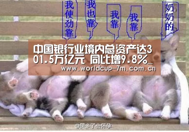 世界杯官方中文网