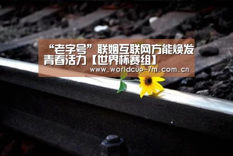 “老字号”联姻互联网方能焕发青春活力【世界杯赛组】(图1) 世界杯赛组