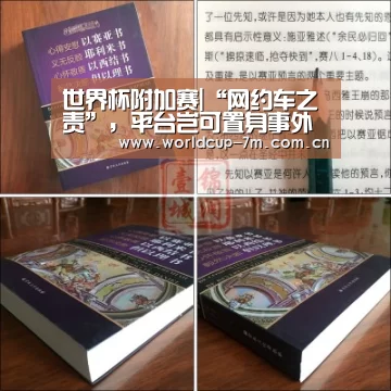 世界杯附加赛|“网约车之责”,平台岂可置身事外(图2) 世界杯赛组