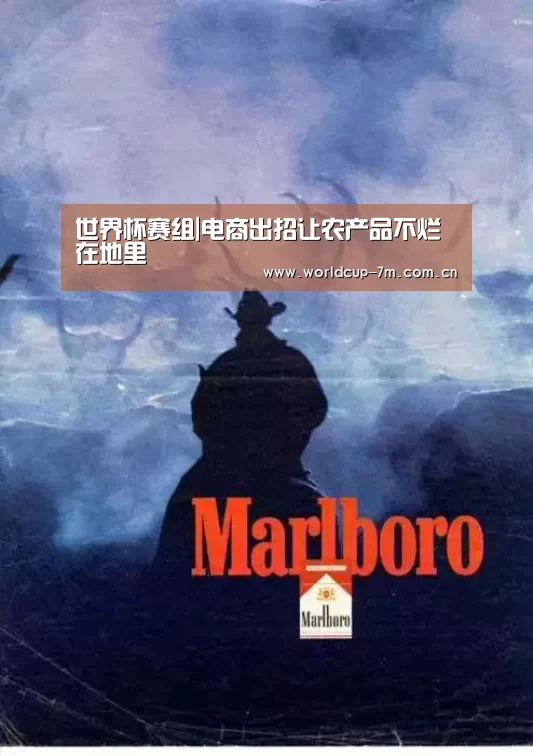 世界杯赛组